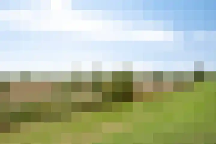 Enge IJsselweg 8 Lopikerkapel thumbnail 32