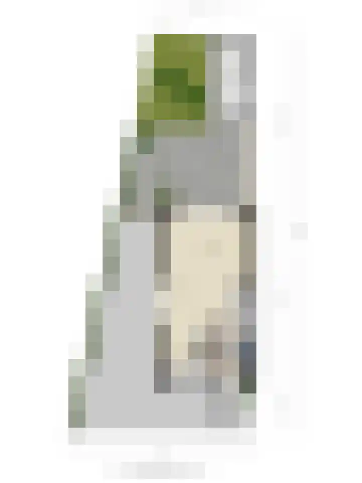 Enge IJsselweg 8 Lopikerkapel thumbnail 33