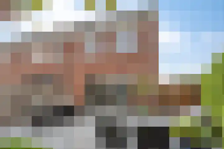 Enge IJsselweg 8 Lopikerkapel thumbnail 4
