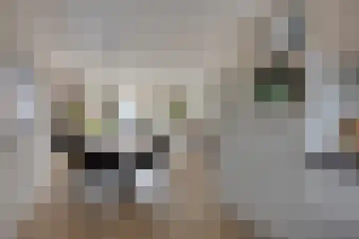Enge IJsselweg 8 Lopikerkapel thumbnail 8