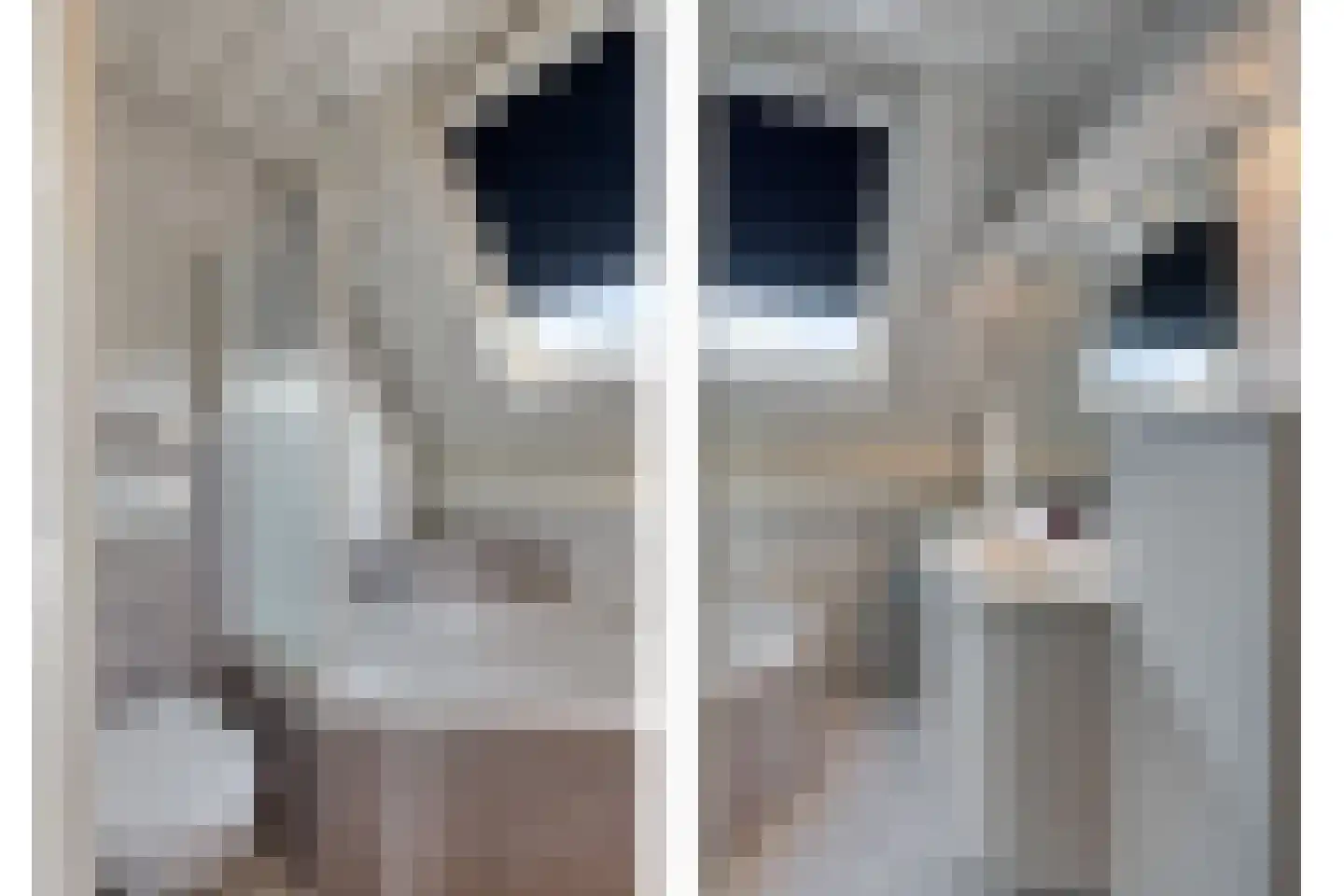 Engel de Merlestraat 8 Heenvliet thumbnail 15