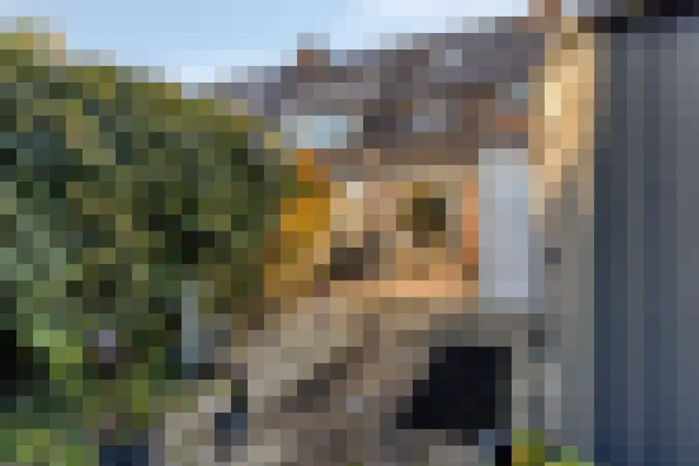 Engel de Merlestraat 8 Heenvliet thumbnail 21