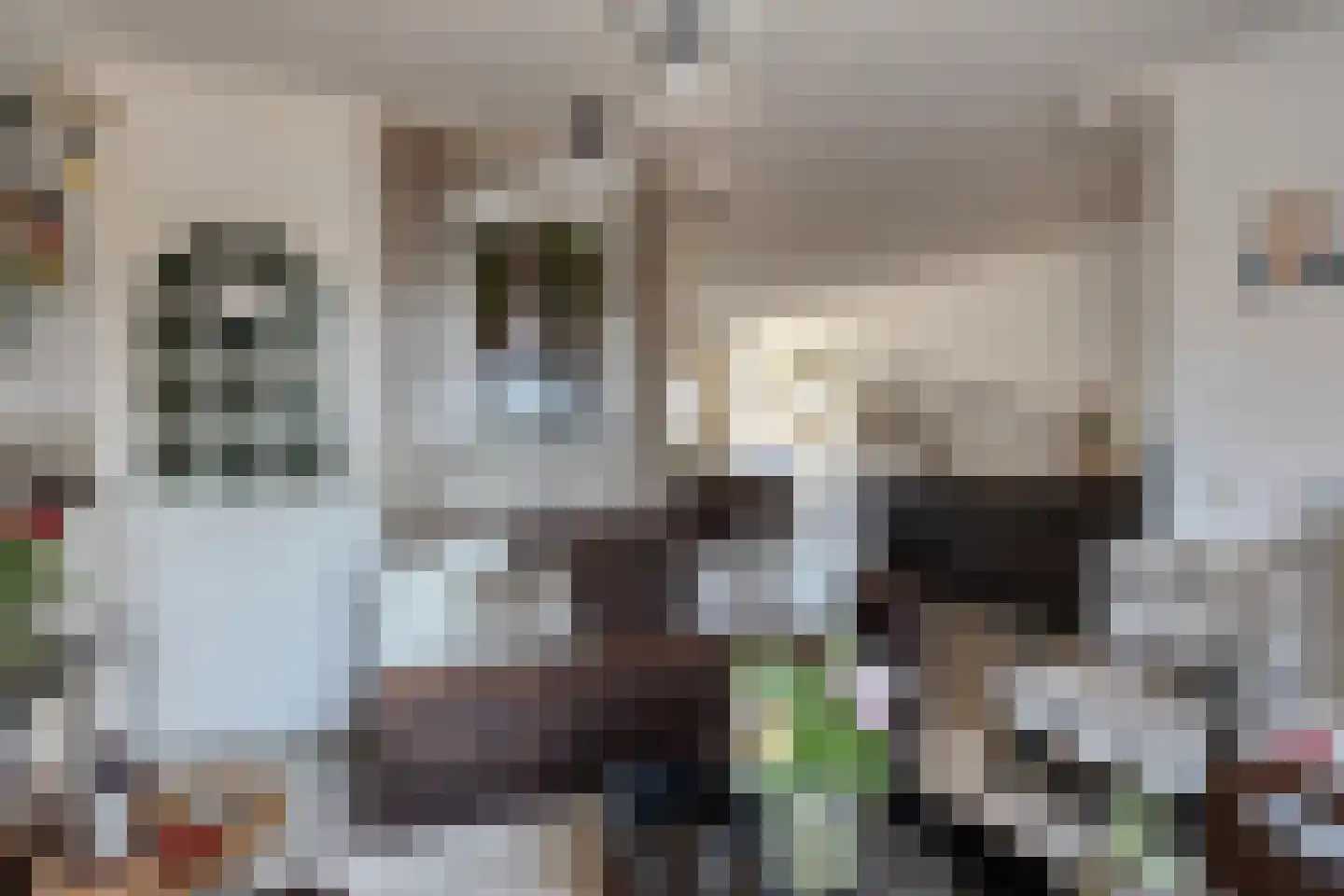Engel de Merlestraat 8 Heenvliet thumbnail 5