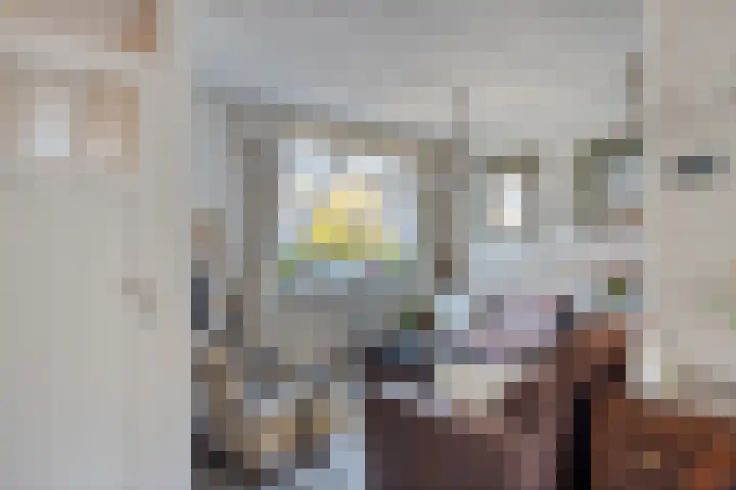 Engel de Merlestraat 8 Heenvliet thumbnail 8