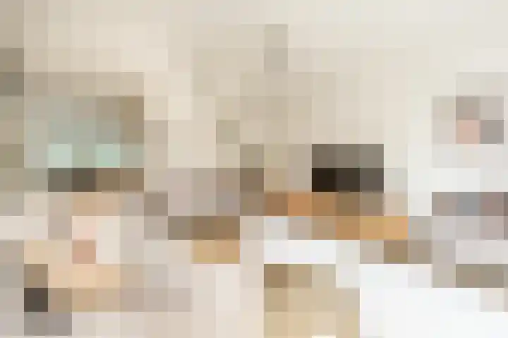 Engel de Raatpad 6 Heinenoord thumbnail 10