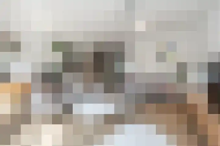 Engel de Raatpad 6 Heinenoord thumbnail 11