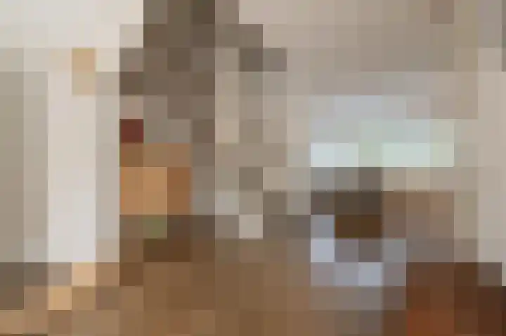 Engel de Raatpad 6 Heinenoord thumbnail 12