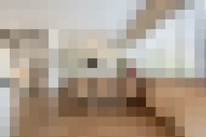 Engel de Raatpad 6 Heinenoord thumbnail 16