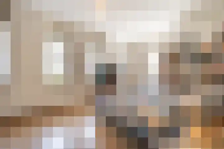 Engel de Raatpad 6 Heinenoord thumbnail 18