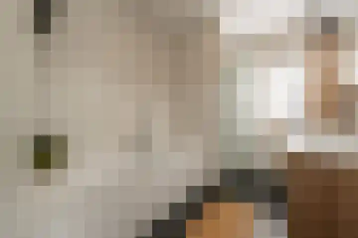Engel de Raatpad 6 Heinenoord thumbnail 21