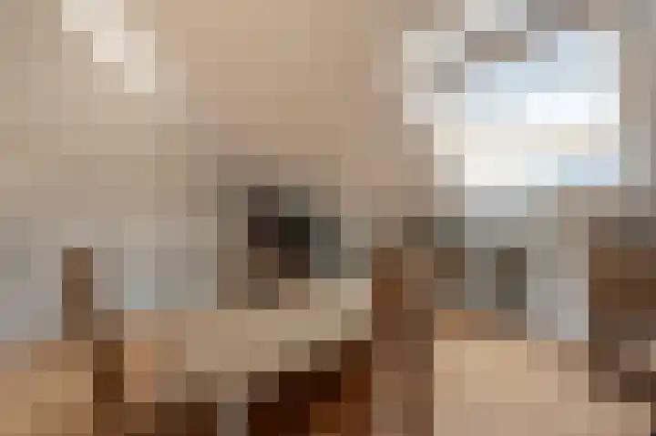 Engel de Raatpad 6 Heinenoord thumbnail 28