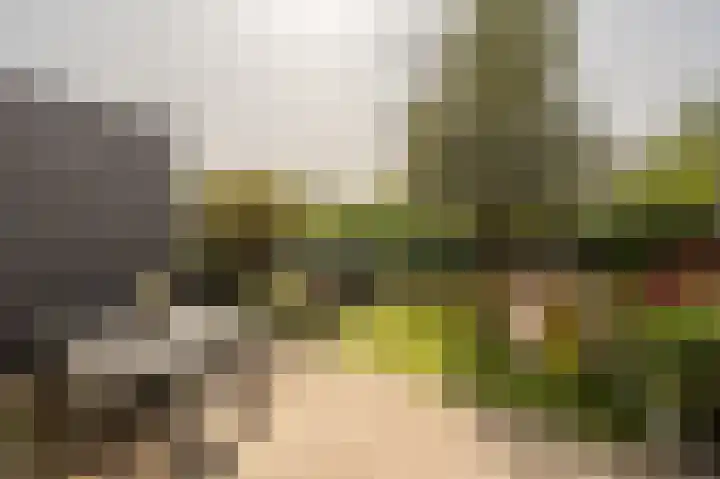 Engel de Raatpad 6 Heinenoord thumbnail 29