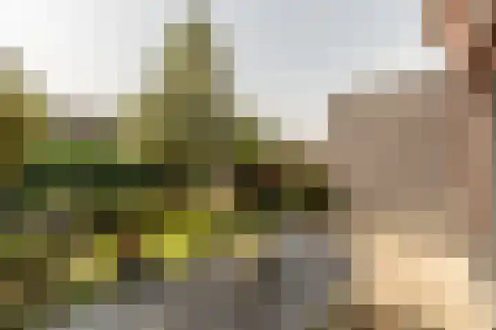 Engel de Raatpad 6 Heinenoord thumbnail 30