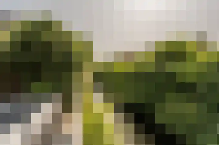 Engel de Raatpad 6 Heinenoord thumbnail 33