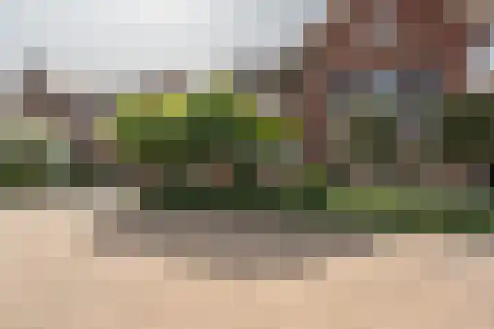 Engel de Raatpad 6 Heinenoord thumbnail 35
