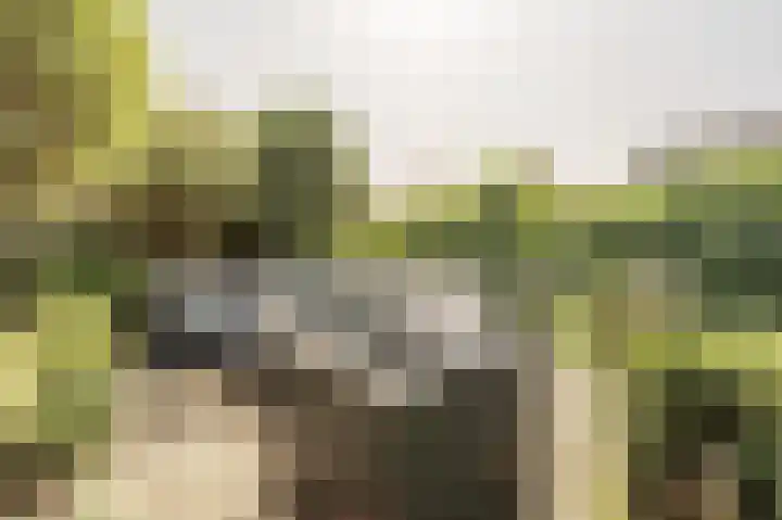 Engel de Raatpad 6 Heinenoord thumbnail 4