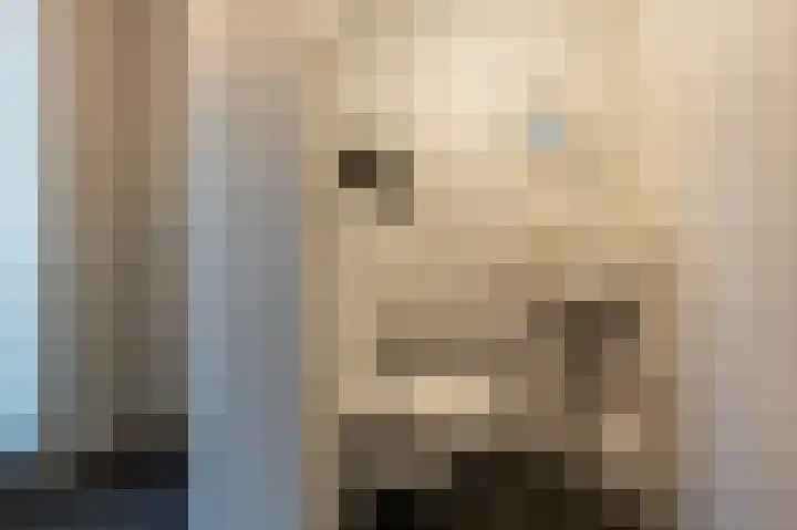 Engel de Raatpad 6 Heinenoord thumbnail 6