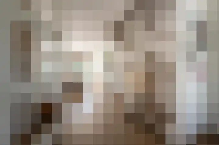 Engel de Raatpad 6 Heinenoord thumbnail 7