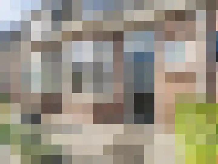 Engel de Ruijterstraat 28 Breukelen thumbnail 5