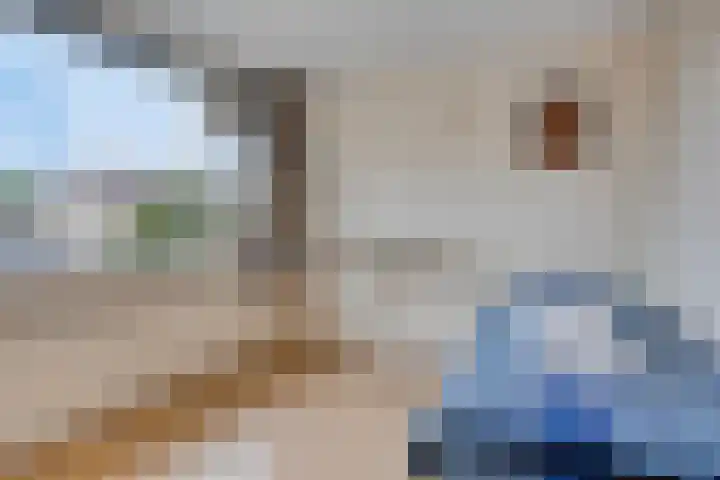 Engel Witloxstraat 2 Haaren thumbnail 12