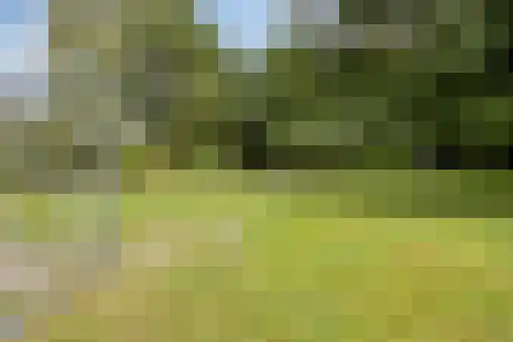 Engel Witloxstraat 2 Haaren thumbnail 27