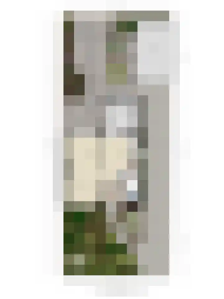 Engel Witloxstraat 2 Haaren thumbnail 32