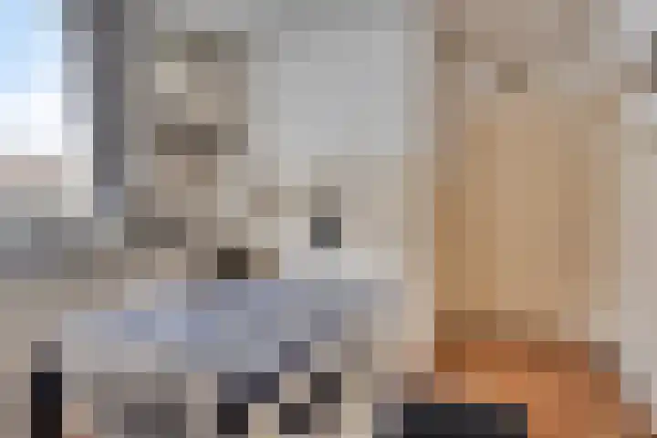 Engel Witloxstraat 2 Haaren thumbnail 7