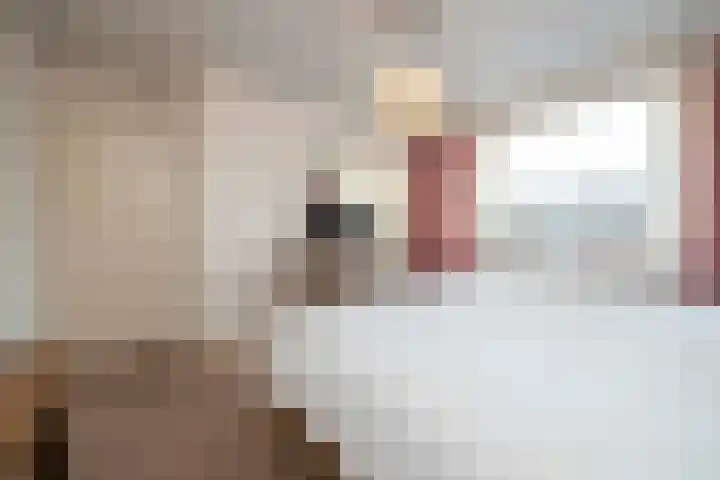 Engel Witloxstraat 7 Haaren thumbnail 23