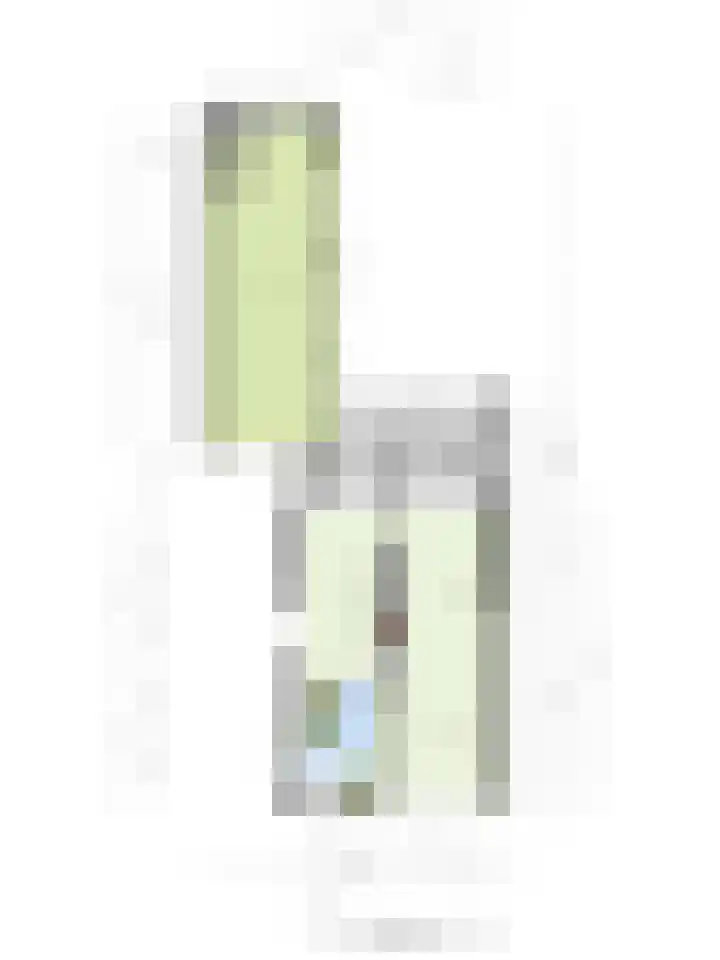 Engel Witloxstraat 7 Haaren thumbnail 35