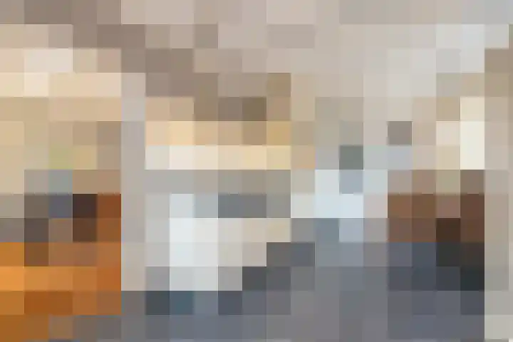 Engel Witloxstraat 7 Haaren thumbnail 4