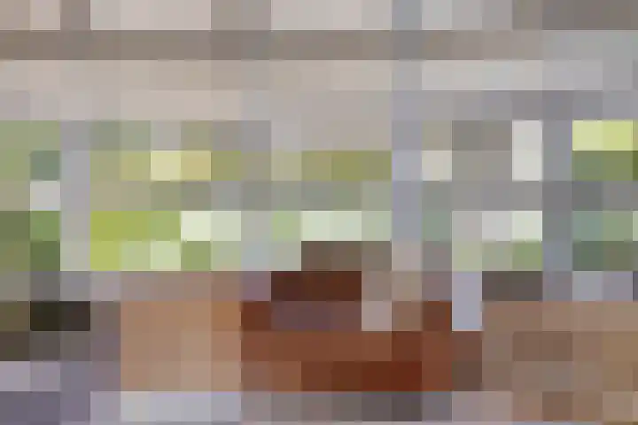 Engelaanhof 16 Veenendaal thumbnail 10