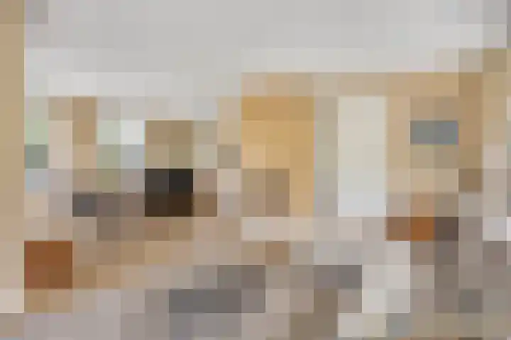 Engelaanhof 16 Veenendaal thumbnail 11