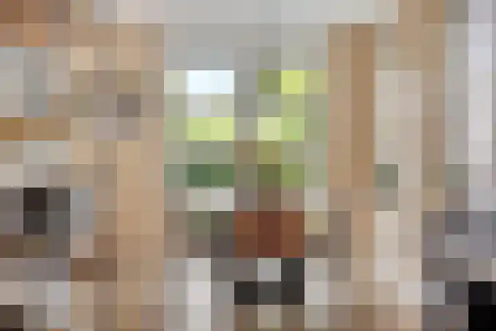 Engelaanhof 16 Veenendaal thumbnail 13