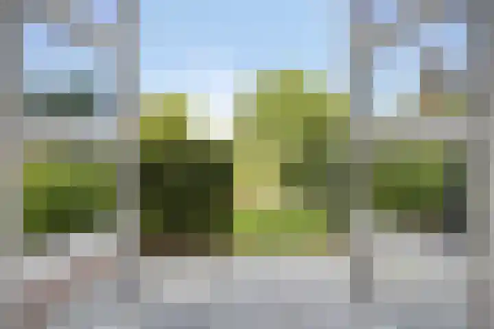 Engelaanhof 16 Veenendaal thumbnail 14