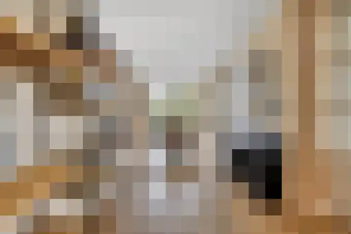 Engelaanhof 16 Veenendaal thumbnail 15