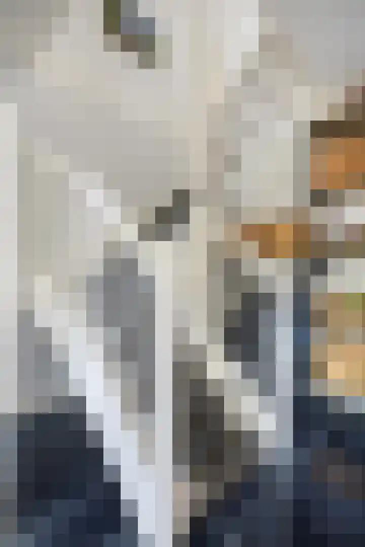 Engelaanhof 16 Veenendaal thumbnail 26