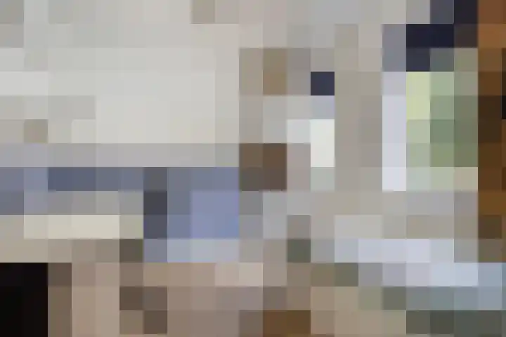 Engelaanhof 16 Veenendaal thumbnail 30