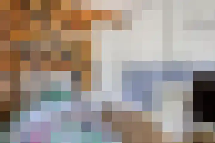 Engelaanhof 16 Veenendaal thumbnail 31