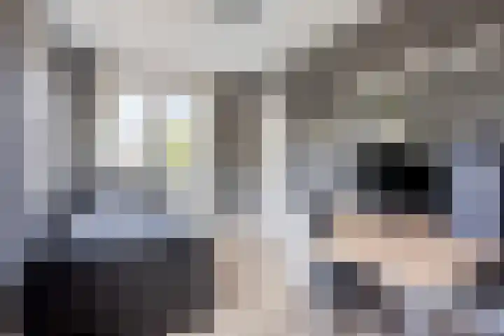 Engelaanhof 16 Veenendaal thumbnail 32