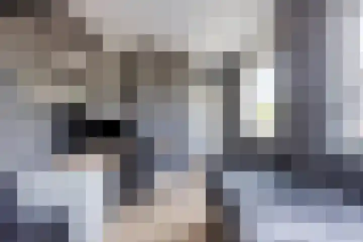 Engelaanhof 16 Veenendaal thumbnail 33