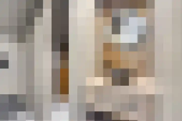 Engelaanhof 16 Veenendaal thumbnail 53