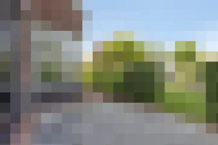 Engelaanhof 16 Veenendaal thumbnail 56