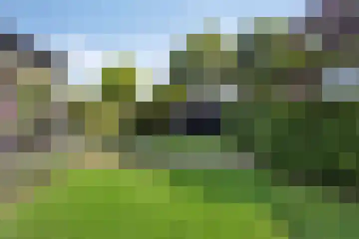Engelaanhof 16 Veenendaal thumbnail 58