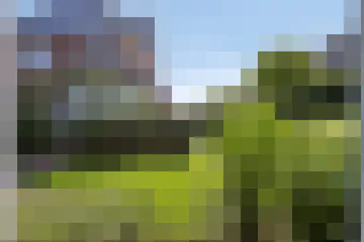 Engelaanhof 16 Veenendaal thumbnail 59