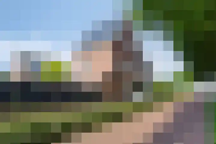 Engelaanhof 16 Veenendaal thumbnail 6