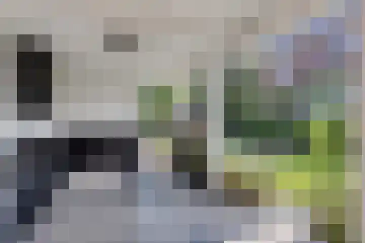 Engelaanhof 16 Veenendaal thumbnail 63