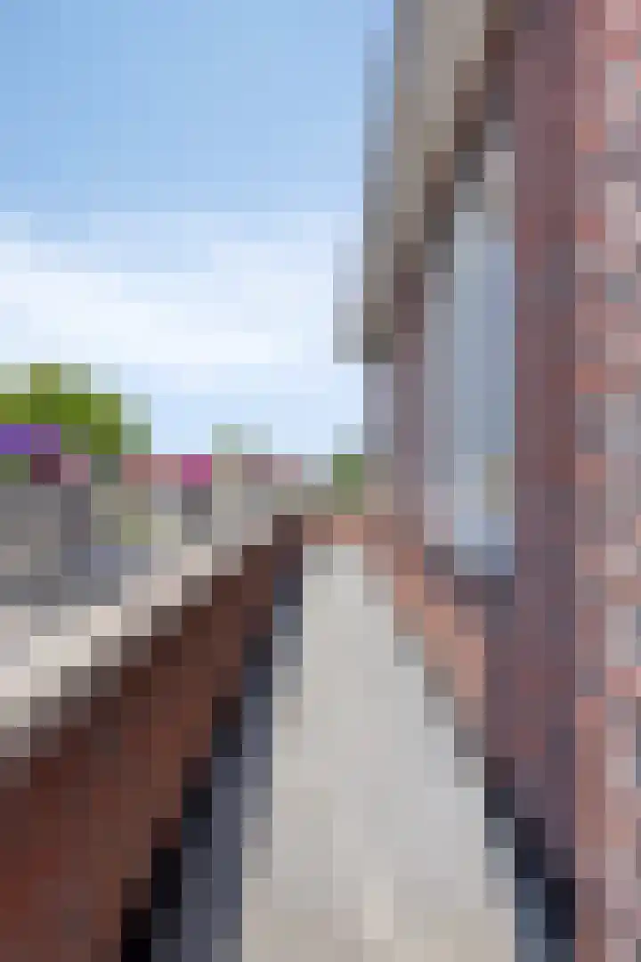 Engelaanhof 16 Veenendaal thumbnail 66