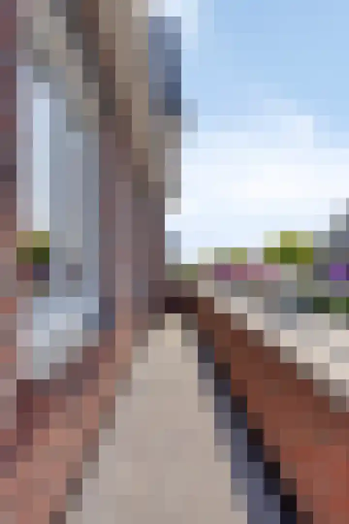 Engelaanhof 16 Veenendaal thumbnail 67