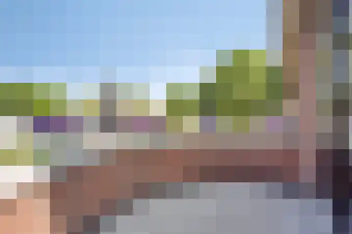 Engelaanhof 16 Veenendaal thumbnail 68