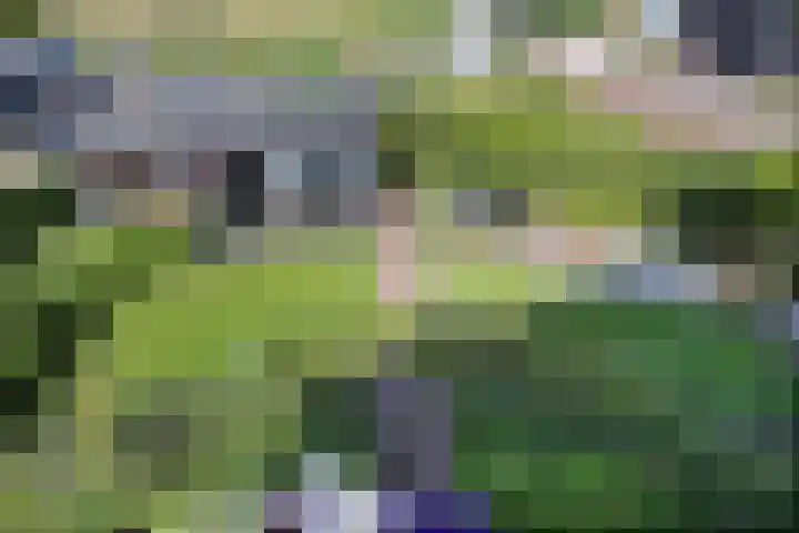 Engelaanhof 16 Veenendaal thumbnail 69